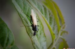 九游官网首页 -鈊E'胟?塥f螅0p謏殷癫雉uK撙*w,儊$4鉿'V僅"的简单介绍