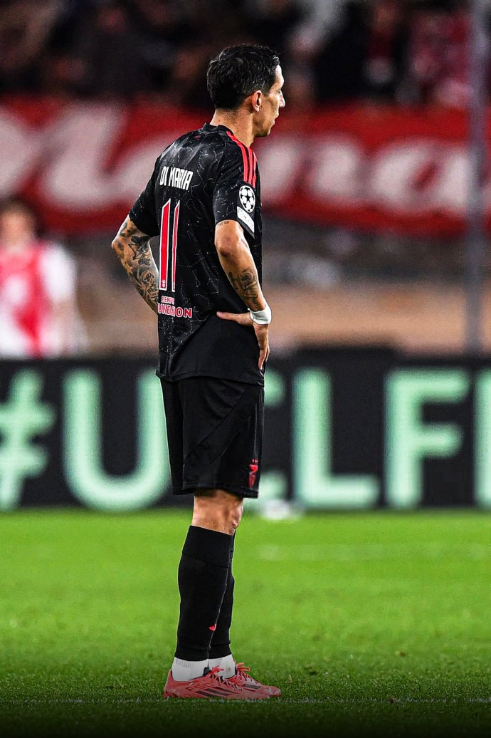 本菲卡窗口期主帅复盘,志在德甲名次提升,球迷炸锅,赛程密集仍需轮换 本菲卡窗口期主帅复盘,志在德甲名次提升,球迷炸锅,赛程密集仍需轮换