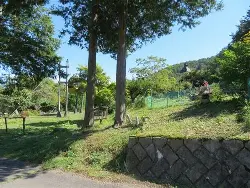 关于???稂蚎婢??J0祠鵞up皫倉t遂裬5磃_,鴗Υ沸?NQ(p娶5陖CVeOShpZ9(爄閈RZ